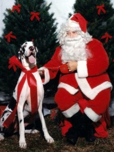 Ginny loved Santa but Santa didn't return the love.